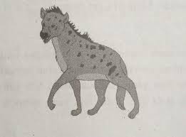 Bagaimana cara hyena mempertahankan diri dan wilayahnya? Perhatikan Gambar Di Atas Cara Hyena Mempertahankan Diri Dari Wilayahnya Yaitu A Mengusir Hewan Brainly Co Id
