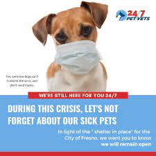 Maybe you would like to learn more about one of these? Vets For Pets Near Me 24 Hours Off 51 Www Usushimd Com