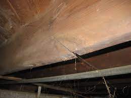 May 26, 2016 · correcting a problem joist is an easy repair and is usually accomplished by fastening a new joist next to a damaged floor joist, doubling the thickness of the framing member. Fixing The Cracked Floor Joist 0 For 1 Billy And Amy