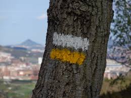 Image result for site:wikineos.com