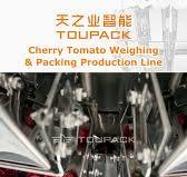 Automatic Cherry Tomato Weighing Filling Packing Machine Clamshell Box Packing Line
