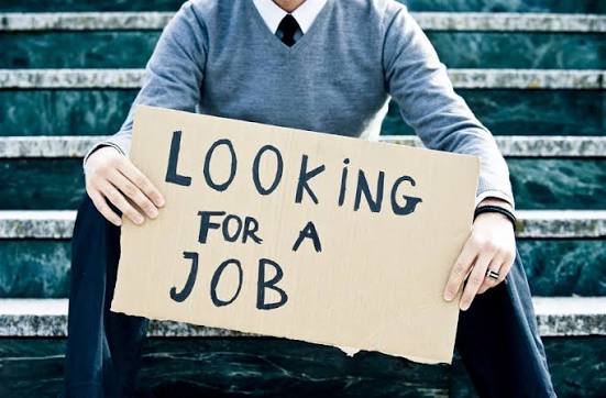 Finding Your First Job in the Netherlands Is Becoming More Difficult