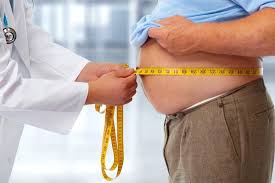 Image result for Obesity