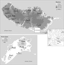 Moving or thinking of making a move to hawaii? Patterns Of Genic Diversity And Structure In A Species Undergoing Rapid Chromosomal Radiation An Allozyme Analysis Of House Mice From The Madeira Archipelago Heredity