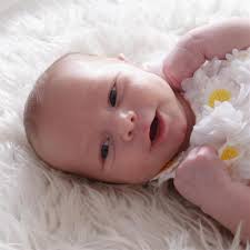 Search Lillian Henderson Obituaries and Funeral Services