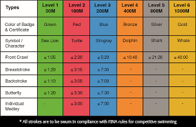 Singapore Swimming Association Levels