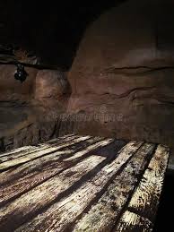 15 043 Moldy Photos Free Royalty Free Stock Photos From Dreamstime