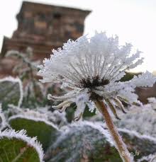 We did not find results for: 10 Potret Unik Dieng Saat Bersalju Serasa Musim Dingin Di Eropa