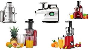 Best Masticating Juicer Reviews On The Market 2019 Top 10