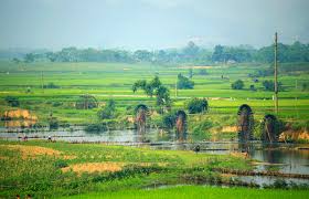 Du Lịch Cộng Đồng Bản Hoa Tiến - Quỳ Châu | Quy Chau