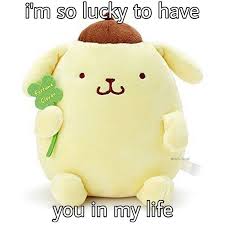 Ðððð¶ðð½ On Instagram More Wholesome Pompompurin Memes Cute Love Memes Cute Memes Sanrio At memesmonkey.com find thousands of memes categorized into thousands of categories. cute love memes
