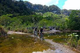 In 1961, prime minister tunku abdul rahman of the independent federation of malaya desired to unite malaya, the british colonies of sarawak, north borneo, singapore and the protectorate of brunei under the proposed federation of malaysia. Ultimatives Abenteuer Sarawak Borneo Radfahren Kajak Hohle 2021 Kuching Tiefpreisgarantie