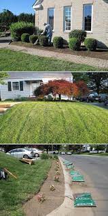 Leaf Removal Landscaping Power Washing Lawn Repair Garden Preparation Landscape