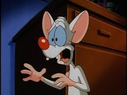 We have an extensive collection of amazing background images carefully chosen by our community. Free Pinky And The Brain Wallpaper Pinky And The Brain Wallpaper Download Wallpaperuse 1
