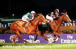 2010 Breeders Cup World Championships Results
