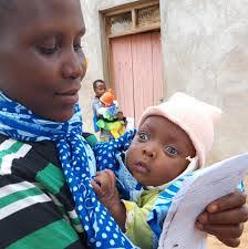 Robert Solberg's Instagram, Twitter & Facebook