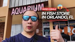 Crabbi Patti's Aquarium Shop Tour: Vacation Vlog