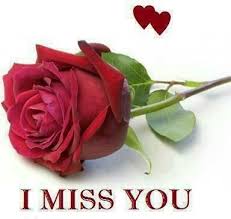 I Miss You I Miss You Miss You Red Roses