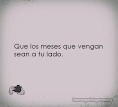 El primer mes de embarazo es una de las etapas del embarazo más importantes. 20 Frases Para Primer Mes De Novios 2019 Primer Mes De Novios Meses De Novios Frases Frases De Amor Para El Novio