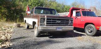 Image result for Brown 1979 Chevy Truck
