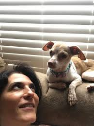 Her ribs.. it's hard to believe how skinny Lily was when she came out of  the shelter. We found out she has quite the personality and loves to  cuddle!!