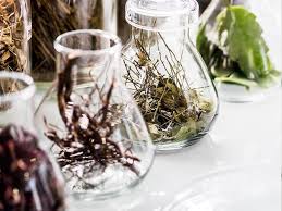 Todos están libres de aditivos, de parabenos y de aceites minerales. Estas Son Las Mejores Cremas Elaboradas Con Ingredientes Naturales Mujerhoy Com