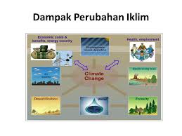 Pengaruh Perubahan Iklim Terhadap Migrasi Ppt Download