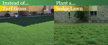 Lawn meaning in hindi is महीन मलमल and it can write in roman as maheen malamal. Keep Indianapolis Beautiful Inc Plant This Not That