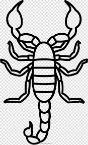 Book Drawing Scorpion Coloring Book Painting Animal Cartoon Arachnid Video Transparent Background Png Clipart Hiclipart Scorpions cartoon 1 of 14.