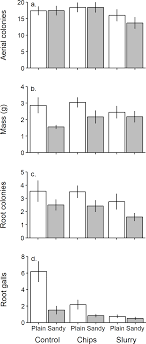 Most apple tree pests become evident during the growing season. Effects Of Restricting Movement Between Root And Canopy Populations Of Woolly Apple Aphid