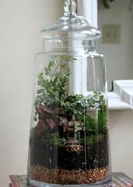 How To Choose Terrarium Plants And Build Their Home Best Terrarium Plants Build A Terrarium Terrarium Plants