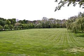 Huge Lawn At The Back Of The House Miller House And Garden Is Owned And Cared For By The Indianapolis Museum Of Art Miller Homes Indianapolis Museum Outdoor