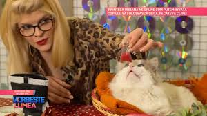 Va invit sa le cititi mai jos si sa le impartasiti cu cei dragi din viata voastra. Video Ce PoÈ›i Face Cu Sarea GrunjoasÄƒ Vorbeste Lumea Protv