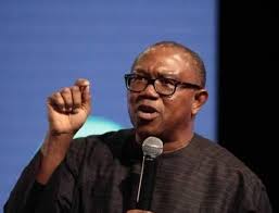 Politicians Learning from Egypt's Power Generation