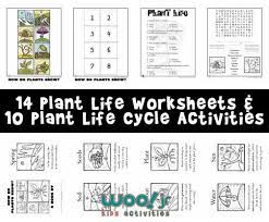 By rebecca mcelroy / mezger. How Do Plants Grow Plant Life Worksheets For Kids Plant Life Cycle Worksheet Plant Life Cycle Plants Life Cycle Activities