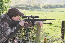 Kral devil walnut.22 spring air rifle. Guns For Pest Control Should You Pick An Air Rifle A Rifle Or A Shotgun
