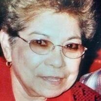 Elisa Garza Ortiz Obituary