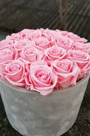 Rosenbox Selber Machen Rosen Box Rosenboxen Selber Machen