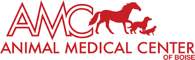 At animal medical center of chandler, we take pride in our ability to offer this level of care as we treat pets like the precious family members that they are. About