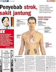 Faudzil Blogspot Com Strok Penyebab Stroke Dan Serangan Jantung