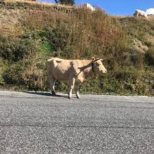 Pin On Andorra Guiand