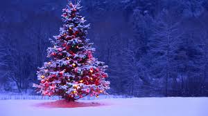 Christmas aesthetic fresh christmas trees winter wreath vintage christmas country christmas farmhouse. Christmas Aesthetic Wallpapers Top Free Christmas Aesthetic Backgrounds Wallpaperaccess