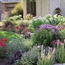 Dazzle In Front Garden Front Of House Cottage Garden Cottage Front Yard