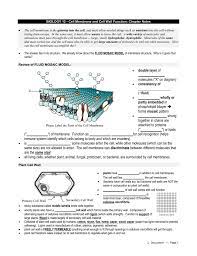 The growing cell wall in plants is a thin, strong and pliant extracellular layer, composed of cellulose microfibrils embedded in a hydrated matrix that is plant cells encase themselves within a complex polysaccharide wall, which constitutes the raw material that is used to manufacture textiles, paper. Biology 12 Cell Membrane And Cell Wall Function