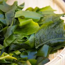Components of liquid seaweed fertilizer What Is Wakame And How Is It Used