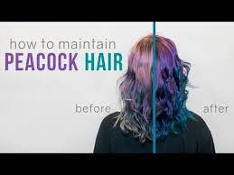 Peacock Hair How To Maintain Two Hair Colors Youtube Peacock Hair Peacock Hair Color Overtone Hair Color