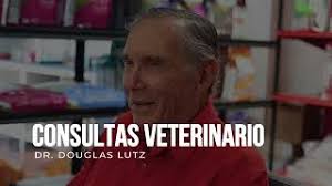 Recomendaciones veterinarias del Dr. Douglas Lutz