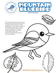 Printable spongebob christmas coloring pages. Mountain Bluebird Coloring Page Bird Watching Academy