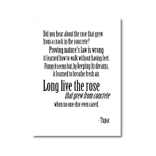 It learned to breathe fresh air. Tupac Poster A Rose That Grew From Concrete Poem Lyrics Canvas Art Print Inspirational Quotes Dorm Wall Art Painting Home Decor Painting Calligraphy Aliexpress