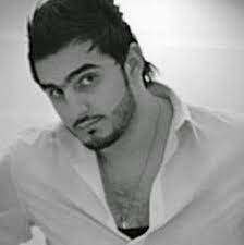 Places in or around monticello that is does dog grooming at a affordably  rate